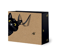 Пакет бумажный "Черный кот" 20,3х24х10,2см