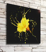 Картина "Желтый цветок на черном фоне" 40х40см
