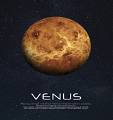 Картина "Venus" 40х50см