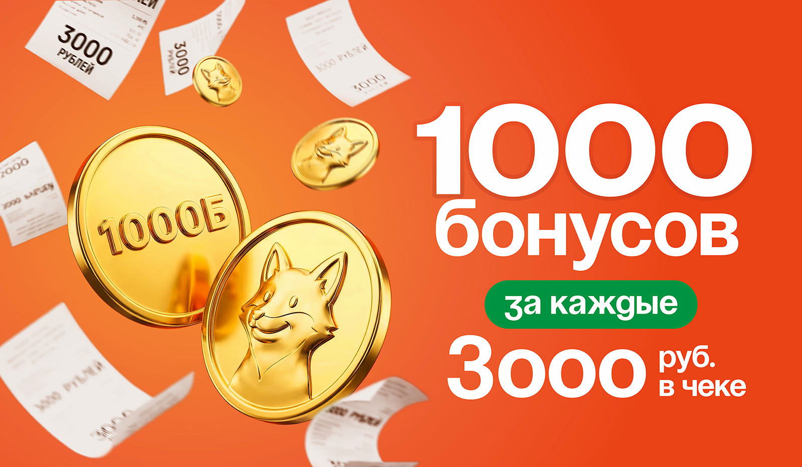1000 бонусов за каждые 3000 руб.