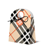 Пакет-коробка "Клетка" 10х14х5см