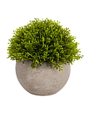 Трава в кашпо 13х13см, цв.зеленый
