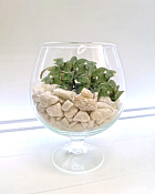 Ваза-бокал "Бренди" 19см