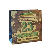 "23 февраля" Пакет бумажный "Настоящему мужчине "25х25х11см