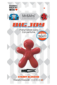 "Joy" Автомобильный ароматизатор "Цветение вишни", цв.красный