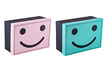 Коробка подарочная "Smile" 22,5х16х9,5см, 2цв.