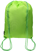 Мешок для сменной обуви 34х45см, цв.зеленый