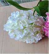 Цветок искусственный "Гортензия", h 68см, цв.белый