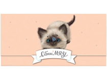 Конверт для денег "ОбниМЯУ"