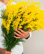 Цветок искусственный "Мимоза", h 80см, цв.желтый