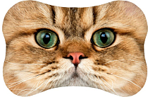 Подушка-подголовник "Мордочка" 20х31см