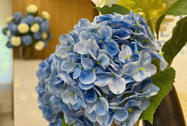 Цветок искусственный "Гортензия", h 68см, цв.синий