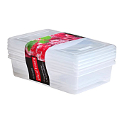 "Asti"Набор контейнеров пластик для заморозки 3шт 0,75л прям 18,5х12х9,1см