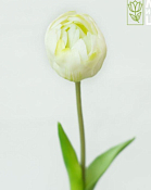 Цветок искусственный "Тюльпан", h 45см, цв.белый