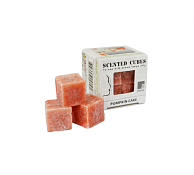 Набор ароматических кубиков "Тыквенный пирог" 8шт