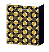 Пакет бумажный "Золотые круги" 25х25х11см