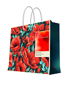 Пакет бумажный "Цвет ярких впечатлений" 40,6х33х16см